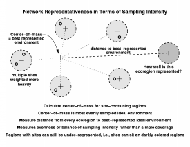 Network Analysis in Terms of Evenness of Sampling Intensity