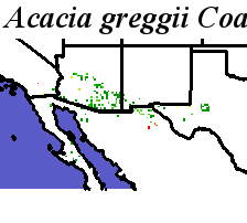 Acacia_greggii_final.elev Coarse MRM Distance