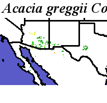 Acacia_greggii_final.noelev Coarse MRM Distance