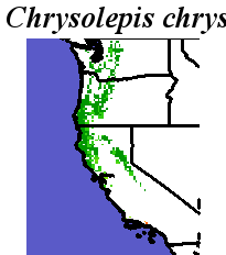 Chrysolepis_chrysophylla_final.elev Coarse MRM Distance