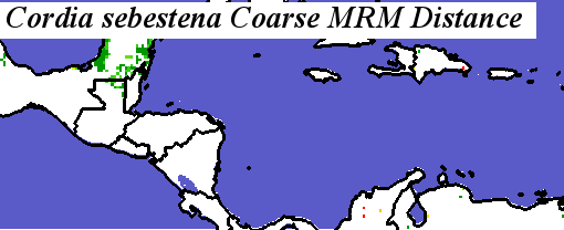 Cordia_sebestena_final.elev Coarse MRM Distance