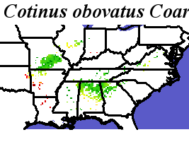 Cotinus_obovatus_final.elev Coarse MRM Distance