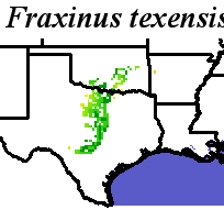 Fraxinus_texensis_final.elev Coarse MRM Distance