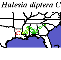 Halesia_diptera_final.elev Coarse MRM Distance