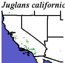 Juglans_californica_final.elev Coarse MRM Distance