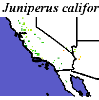 Juniperus_californica_final.noelev Coarse MRM Distance