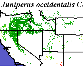 Juniperus_occidentalis_final.elev Coarse MRM Distance