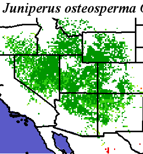 Juniperus_osteosperma_final.elev Coarse MRM Distance