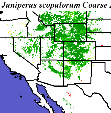 Juniperus_scopulorum_final.elev Coarse MRM Distance