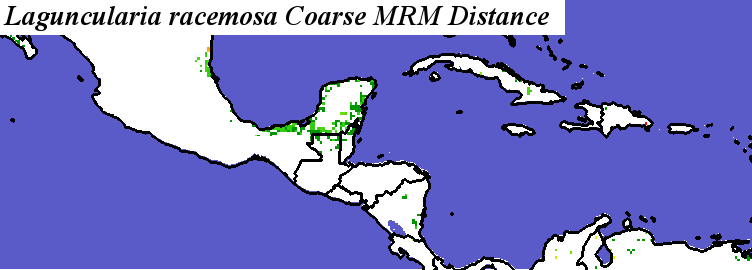 Laguncularia_racemosa_final.elev Coarse MRM Distance