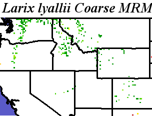 Larix_lyallii_final.elev Coarse MRM Distance