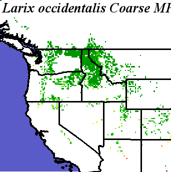 Larix_occidentalis_final.noelev Coarse MRM Distance