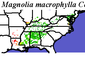 Magnolia_macrophylla_final.elev Coarse MRM Distance