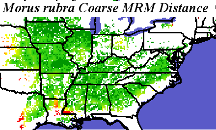 Morus_rubra_final.elev Coarse MRM Distance