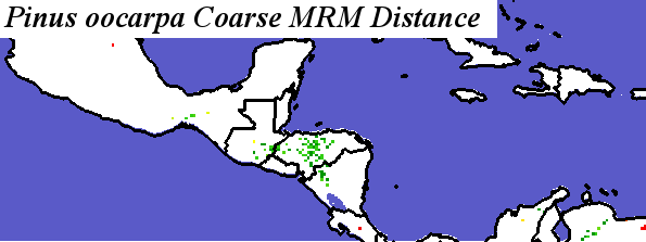 Pinus_oocarpa_CAC.elev Coarse MRM Distance