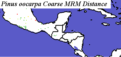 Pinus_oocarpa_SMS.elev Coarse MRM Distance