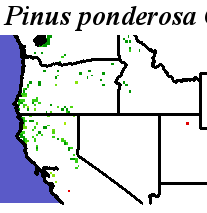 Pinus_ponderosa_Haplotype5.elev Coarse MRM Distance