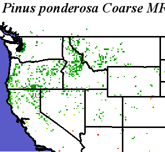 Pinus_ponderosa_Pacific_Haplotypes.elev Coarse MRM Distance