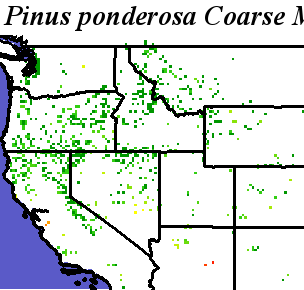 Pinus_ponderosa_Pacific_Haplotypes.noelev Coarse MRM Distance
