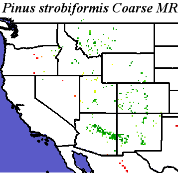 Pinus_strobiformis_final.noelev Coarse MRM Distance