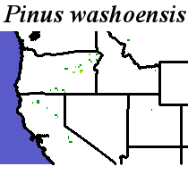 Pinus_washoensis_final.elev Coarse MRM Distance