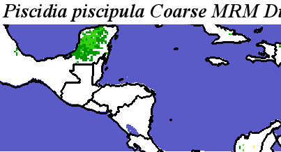 Piscidia_piscipula_final.elev Coarse MRM Distance