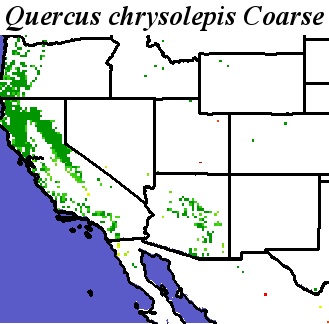 Quercus_chrysolepis_final.elev Coarse MRM Distance