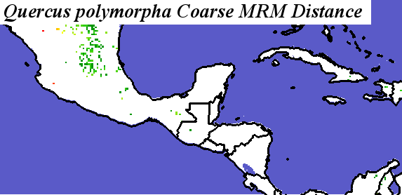 Quercus_polymorpha_final.noelev Coarse MRM Distance