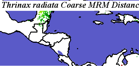 Thrinax_radiata_final.elev Coarse MRM Distance