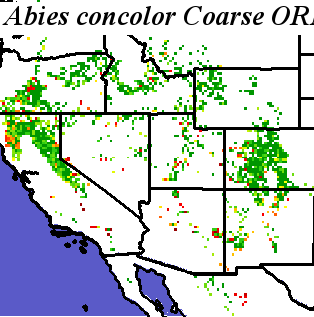 Abies_concolor_final.elev Coarse ORM Distance
