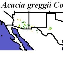 Acacia_greggii_final.noelev Coarse ORM Distance