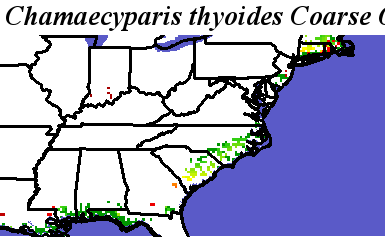 Chamaecyparis_thyoides_final.noelev Coarse ORM Distance