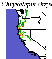 Chrysolepis_chrysophylla_final.elev Coarse ORM Distance