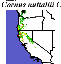 Cornus_nuttallii_final.noelev Coarse ORM Distance