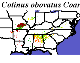 Cotinus_obovatus_final.elev Coarse ORM Distance