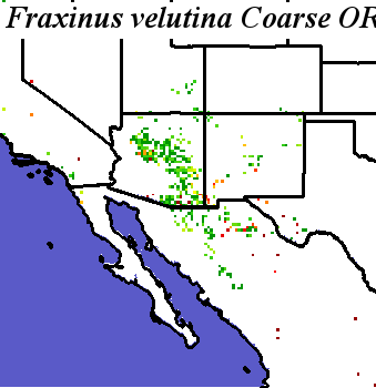 Fraxinus_velutina_final.elev Coarse ORM Distance