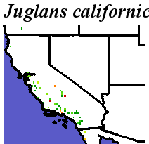 Juglans_californica_final.elev Coarse ORM Distance