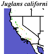 Juglans_californica_final.noelev Coarse ORM Distance