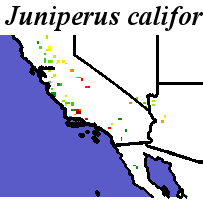 Juniperus_californica_final.noelev Coarse ORM Distance