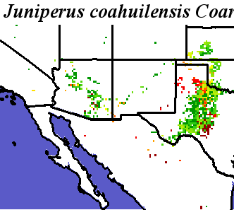 Juniperus_coahuilensis_final.elev Coarse ORM Distance