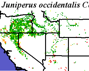 Juniperus_occidentalis_final.elev Coarse ORM Distance