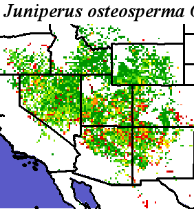 Juniperus_osteosperma_final.elev Coarse ORM Distance