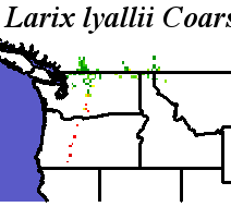 Larix_lyallii_final.noelev Coarse ORM Distance
