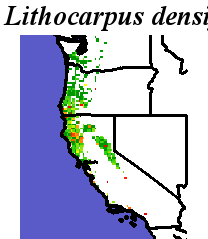 Lithocarpus_densiflorus_final.elev Coarse ORM Distance