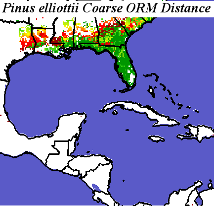 Pinus_elliottii_final.elev Coarse ORM Distance