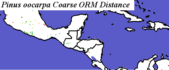 Pinus_oocarpa_SMS.elev Coarse ORM Distance
