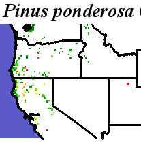 Pinus_ponderosa_Haplotype5.elev Coarse ORM Distance