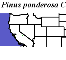 Pinus_ponderosa_Haplotype_10.elev Coarse ORM Distance