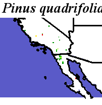 Pinus_quadrifolia_final.elev Coarse ORM Distance
