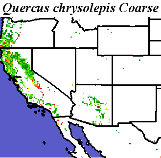 Quercus_chrysolepis_final.elev Coarse ORM Distance